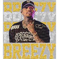 idol singer-GS  2639